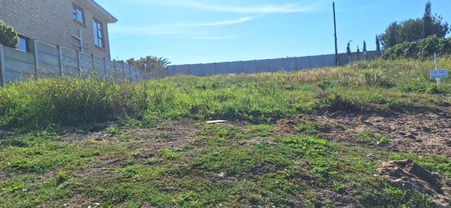 0 Bedroom Property for Sale in Tergniet Western Cape